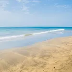 Pluton 푸에르토 델 카르멘